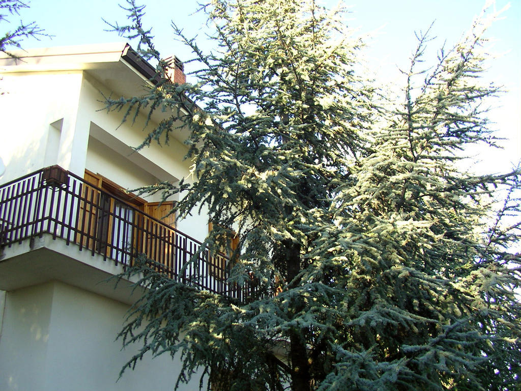 Villa Caterina B&B Педара Екстериор снимка