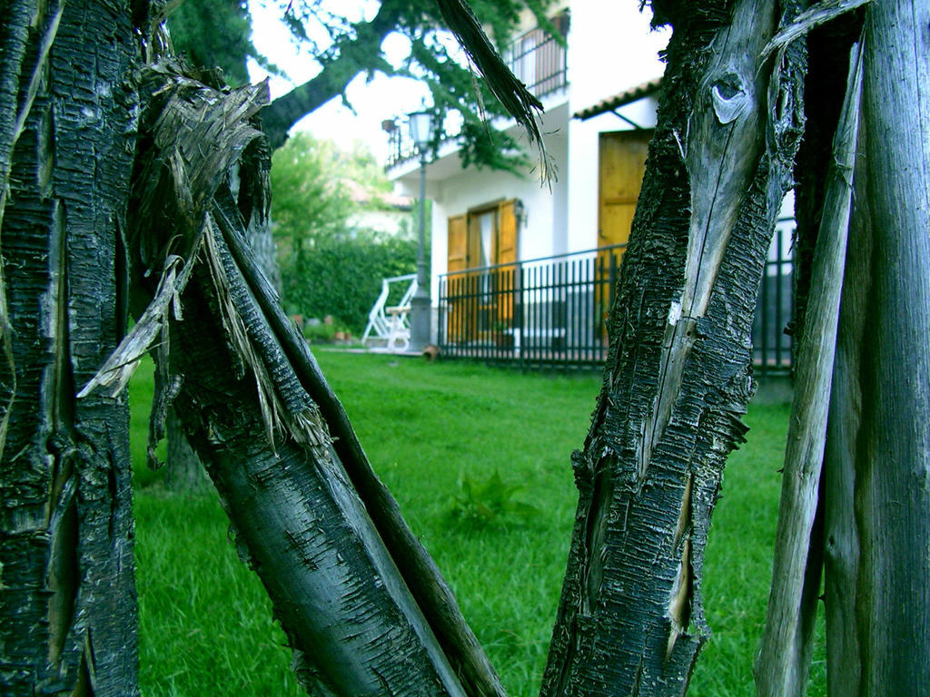 Villa Caterina B&B Педара Екстериор снимка