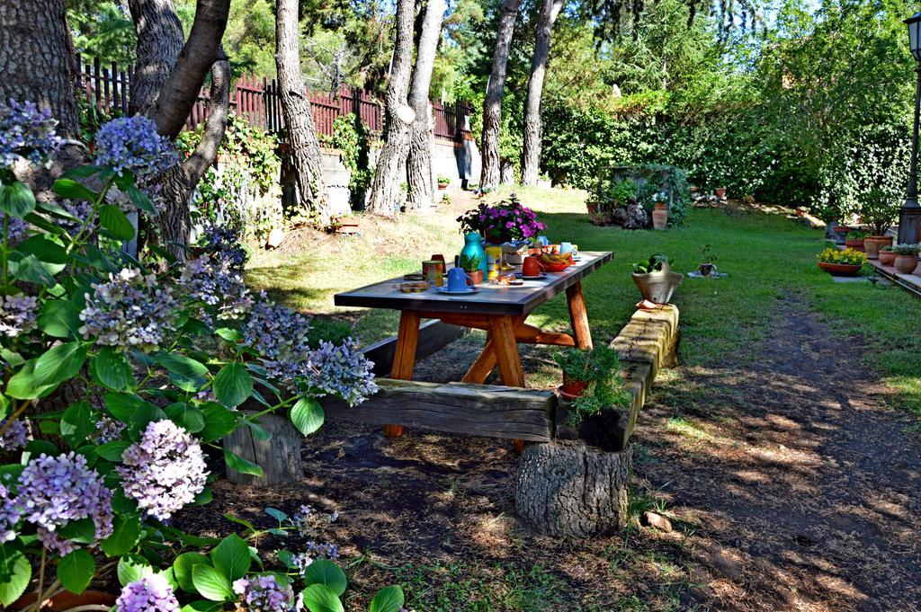 Villa Caterina B&B Педара Екстериор снимка
